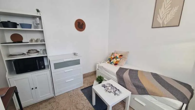 Chambres - Appartement Meublé 1 Pièce au Centre-ville d'Orléans
