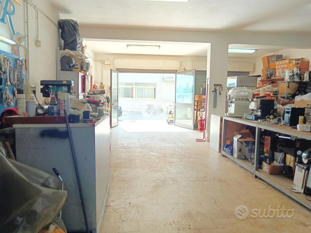 Toad - Warehouse with Double Garage Doors in Villa Rosina