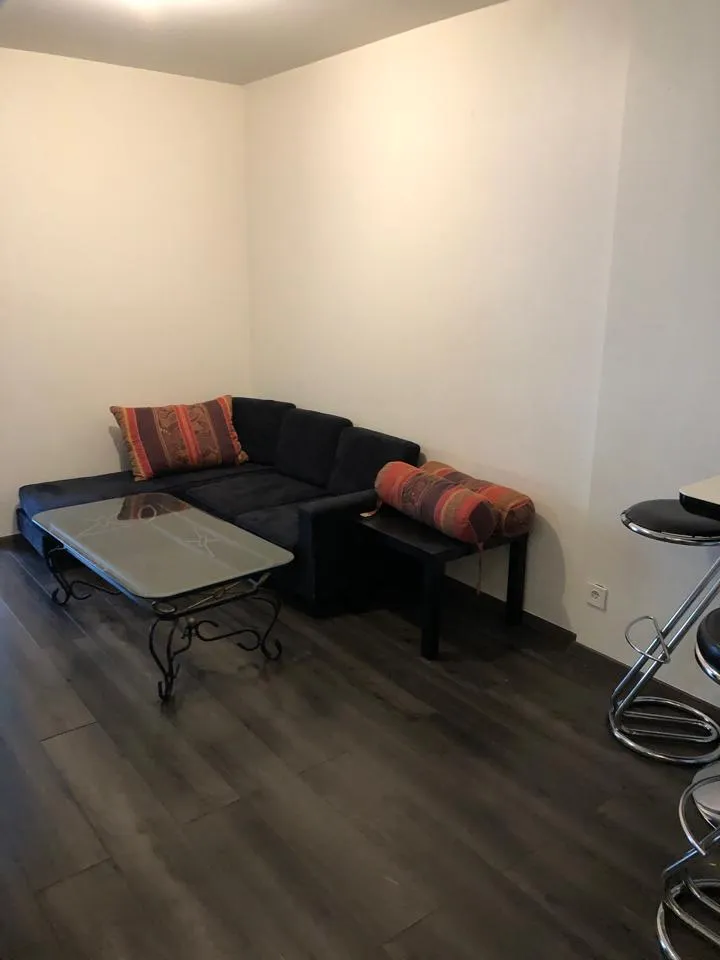 Séjour - Appartement Meublé avec Ascenseur à Lyon 7ème