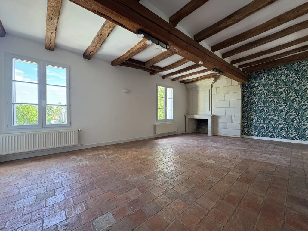 Toad - Charming House with Loire View in Candes-Saint-Martin