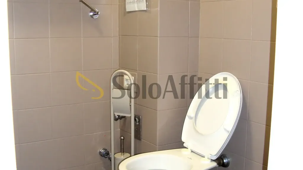 Vannitoad - Furnished Flat with Terrace in Milan