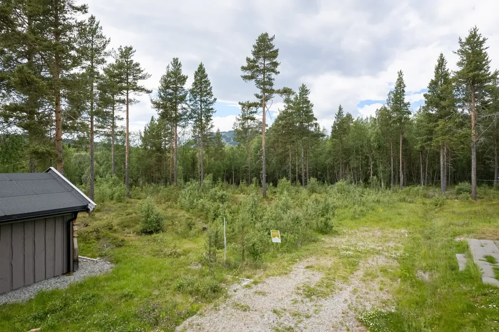 Aed - Corner Plot with Ski Access in Ljusnedal