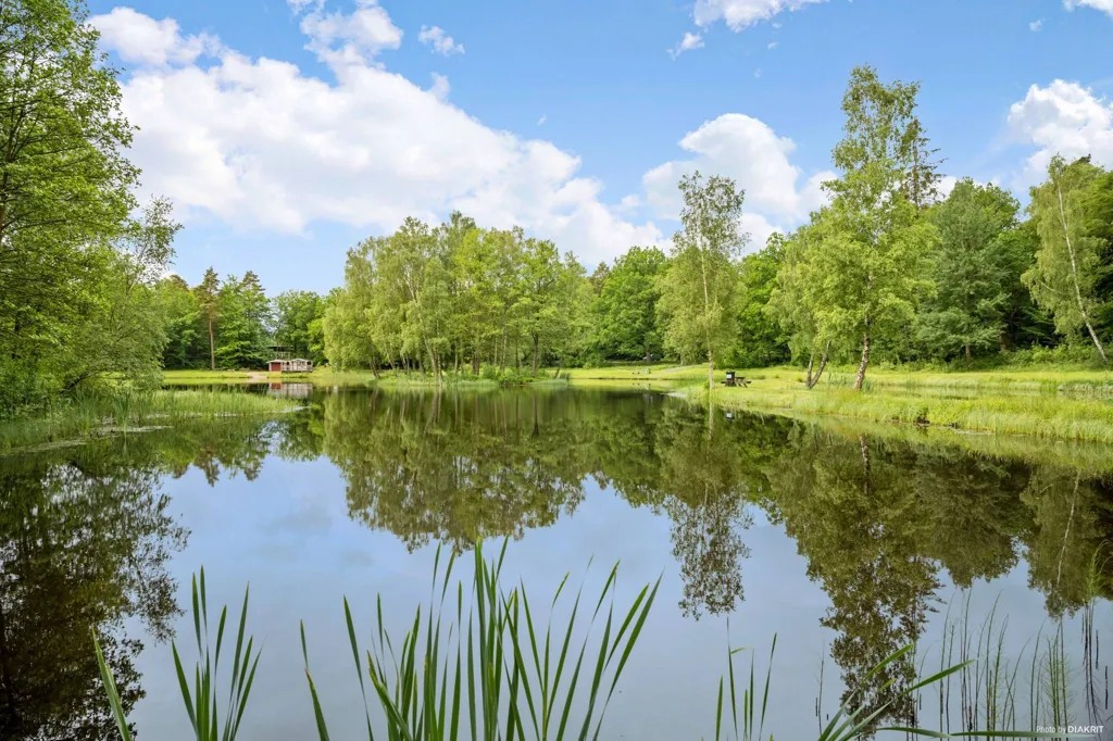 Garden - Holiday Cottage with Lake View in Skåne