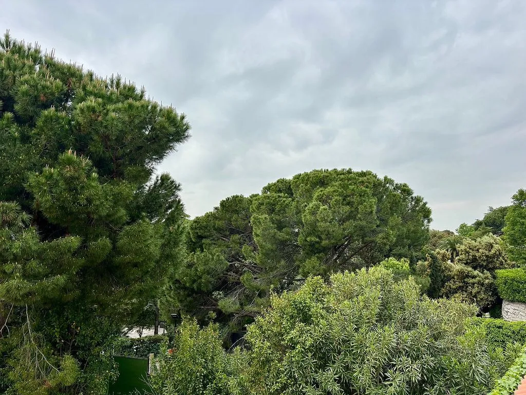 Terrass - Chalet with Pool and Terrace in La Moraleja
