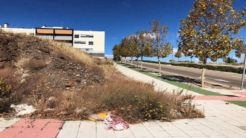 Development Plot in Salamanca