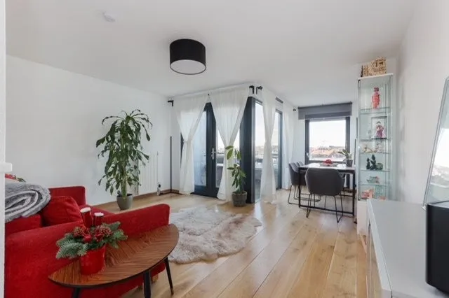 Séjour - Light and Spacious Apartment in Haarlem
