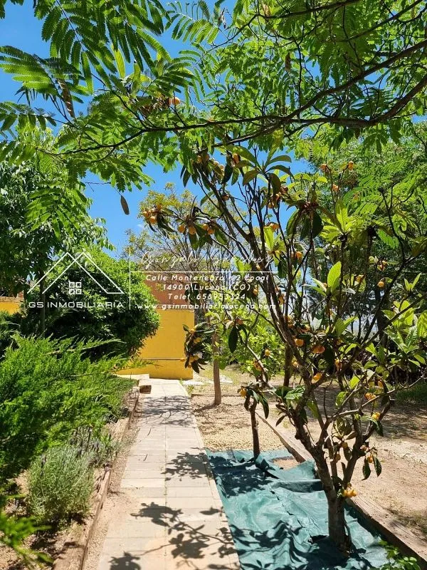 Aed - Rural House with Pool in Lucena