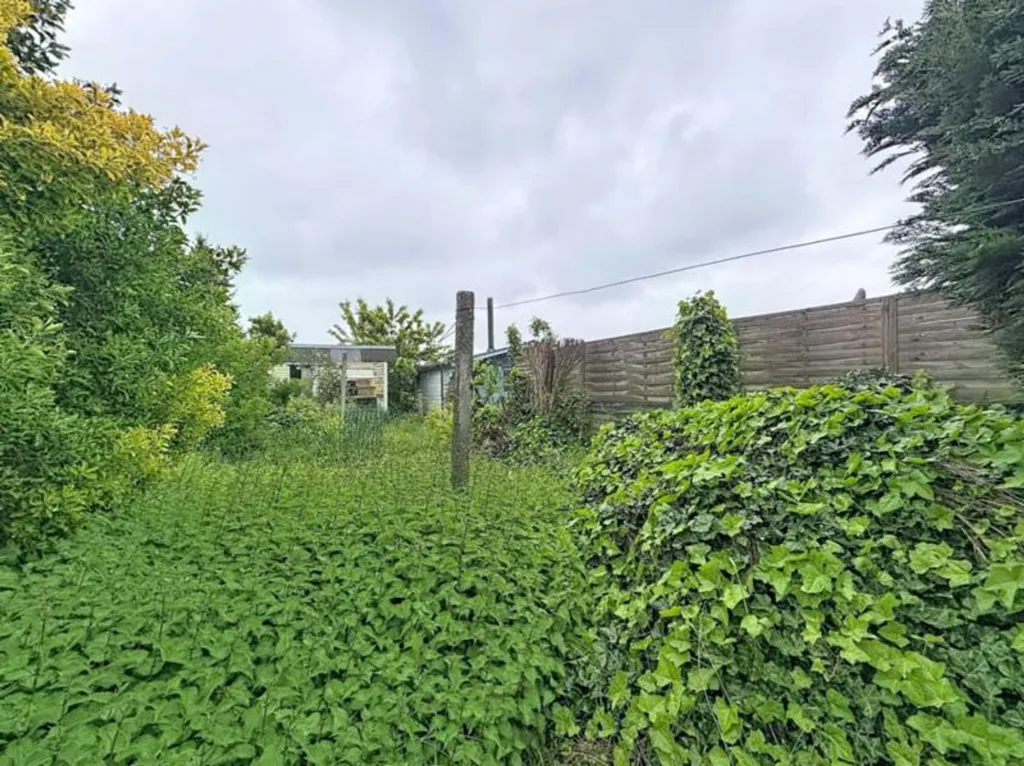 Garden - House with Garden in Zwijnaarde