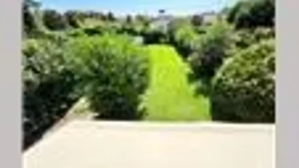 Aed - Villa with Garden near Forte Dei Marmi