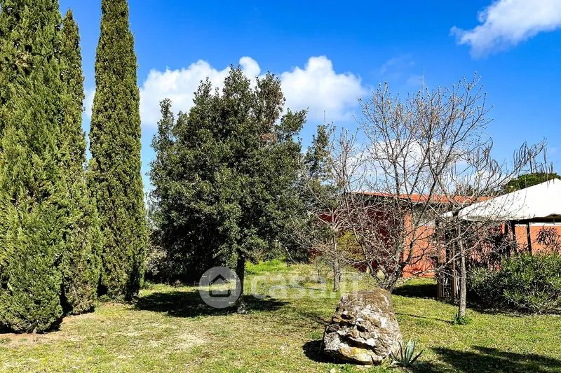 Jardin - Rustic Casale with Pool in Massa Marittima