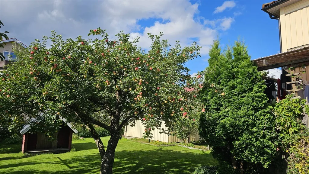 Giardino - Funkis Villa with Garden in Borås