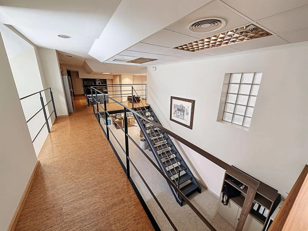 Toad - Commercial Space with High Ceilings in Burjassot
