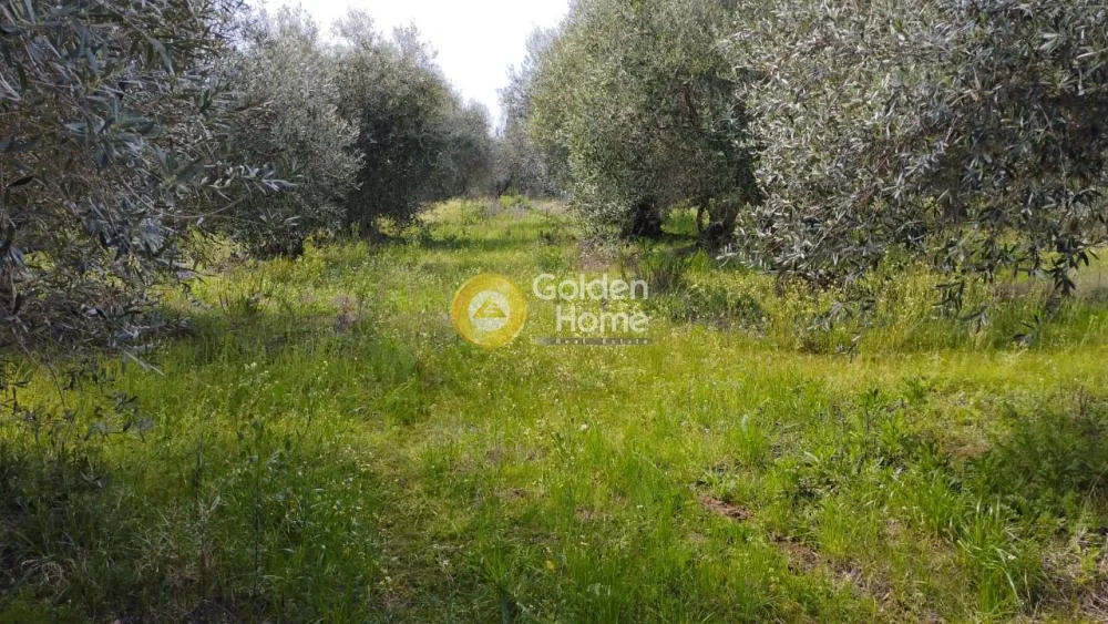 Jardin - Plot with Panoramic Sea View in Zalongo