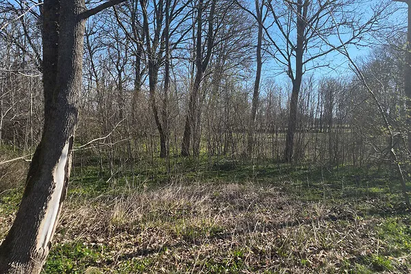 Aed - Maa asukohas Saaremaa vald