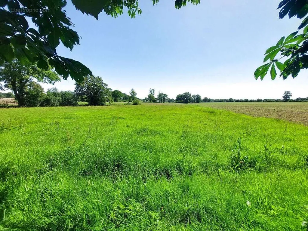 Jardin - Deux Bâtisses en Pierre à Rénover près d'Argentré du Plessis