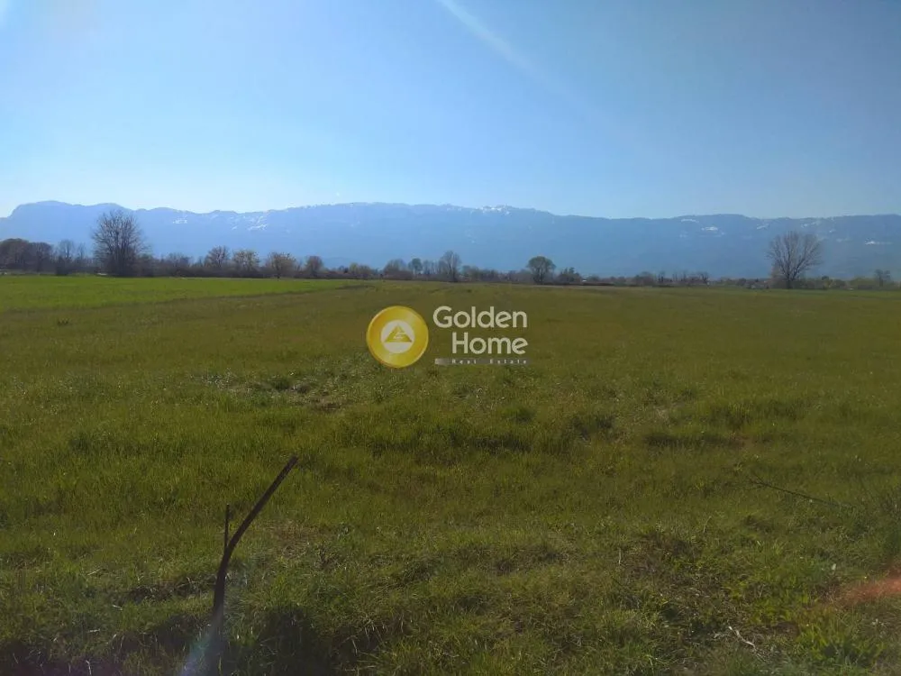 Aed - Agricultural Plot with Panoramic View in Kallidendro