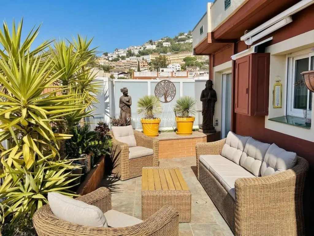 terrace_patio