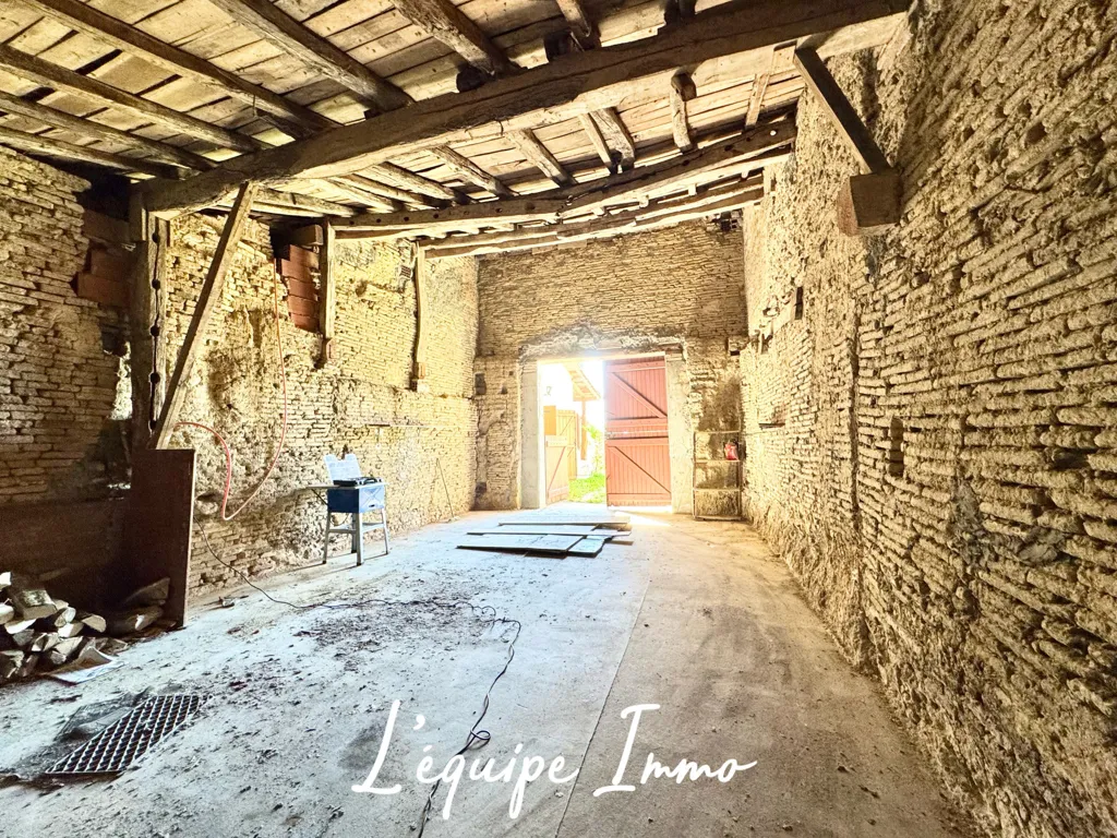 Toad - Village House with Potential in Cadours