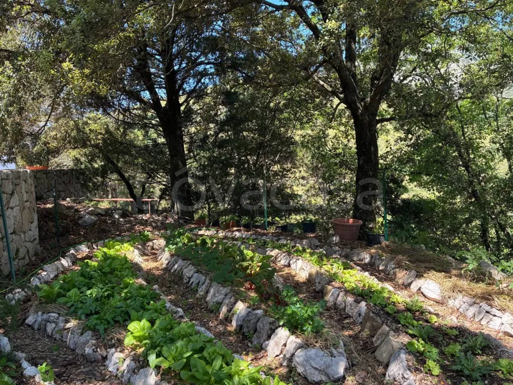 Giardino - Architectural Villa with Garden in Itri