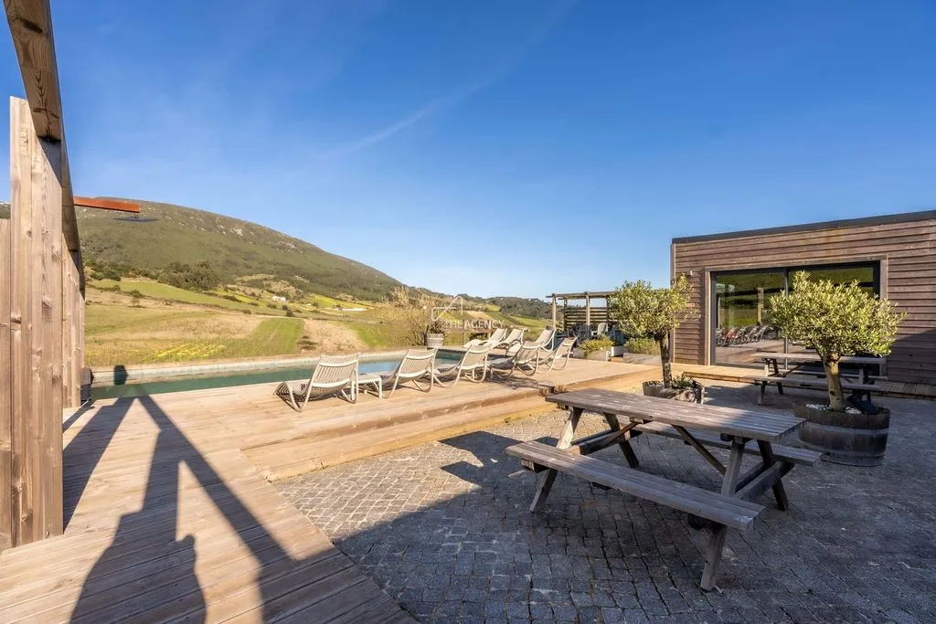 terrace_patio