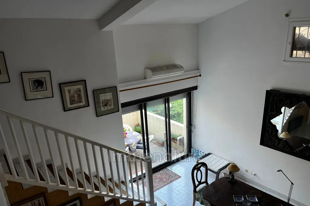Toad - Duplex Apartment with Terraces in Ganges