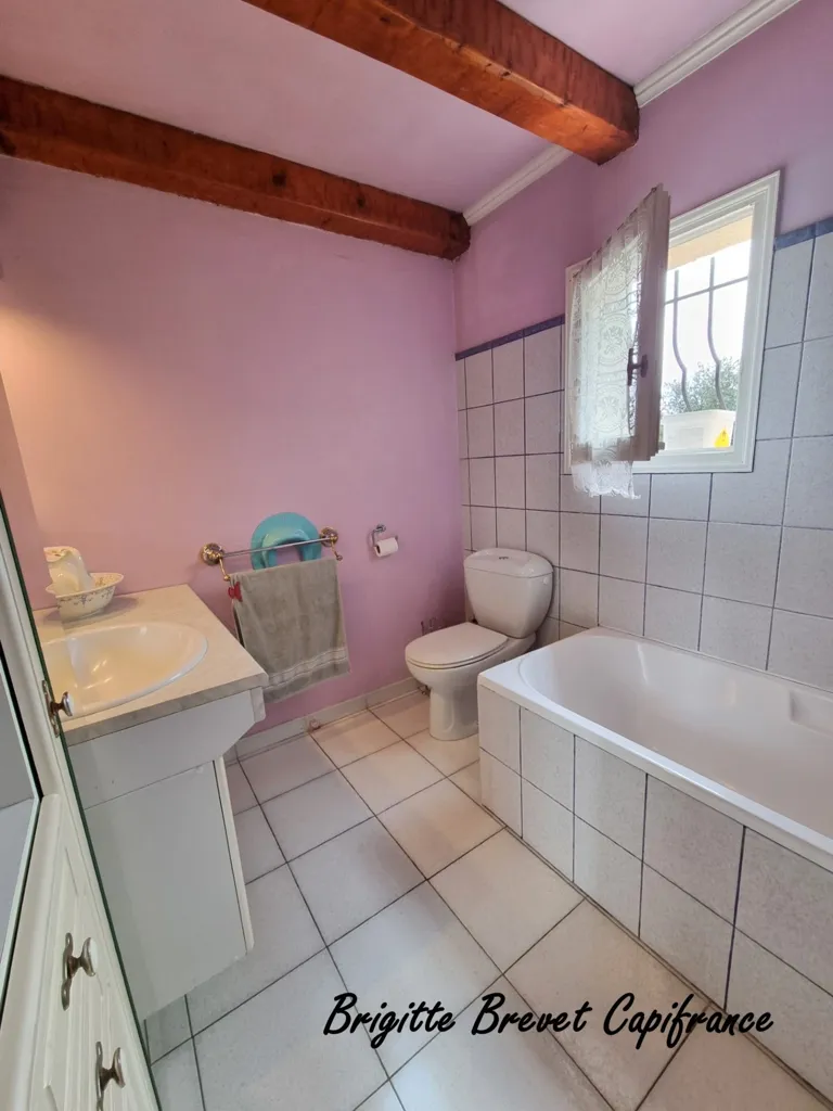 Vannitoad - House with Pool in Saint-Maximin-la-Sainte-Baume