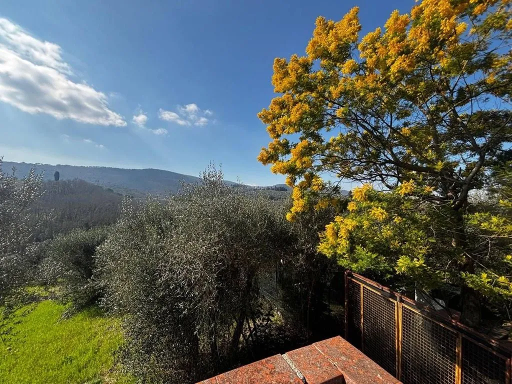 Aed - Luxury Villa with Panoramic Views in Scandicci