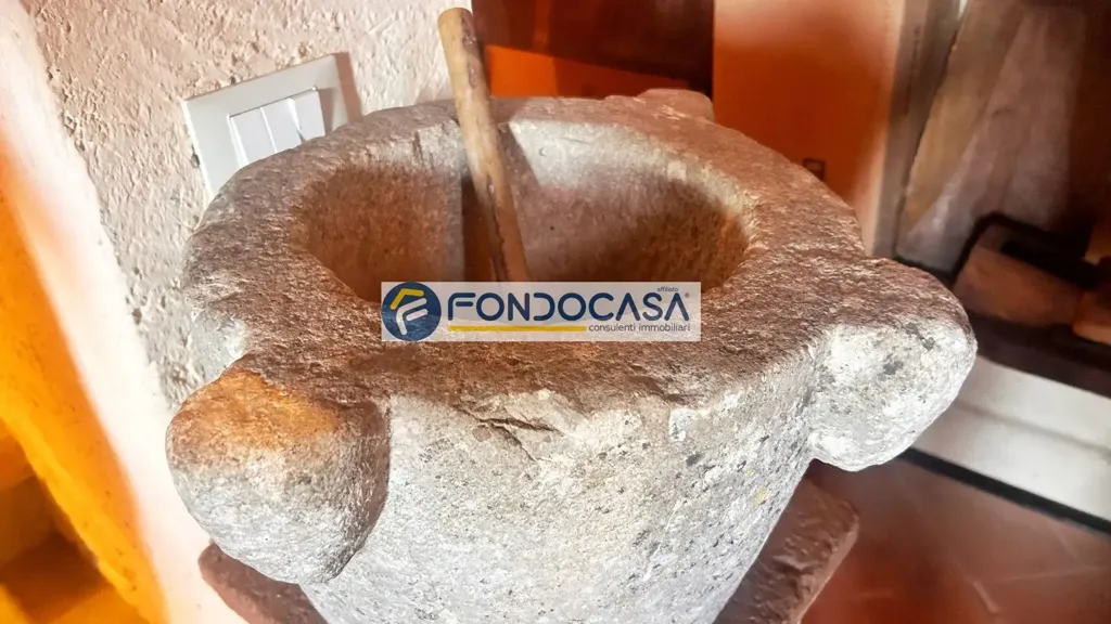 Toad - Historic Mill with Garden in Camaiore
