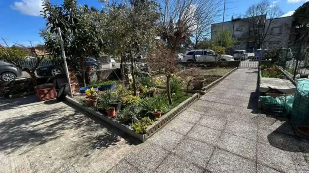 garden