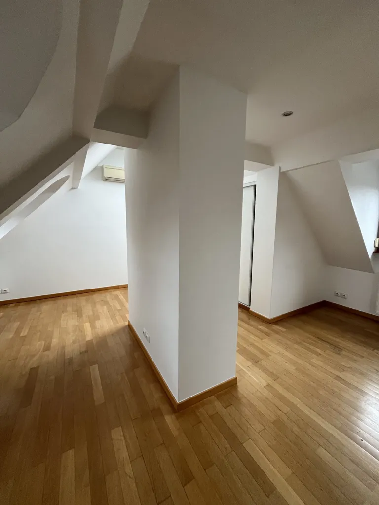 Pièces - Duplex avec Terrasse à Strasbourg République