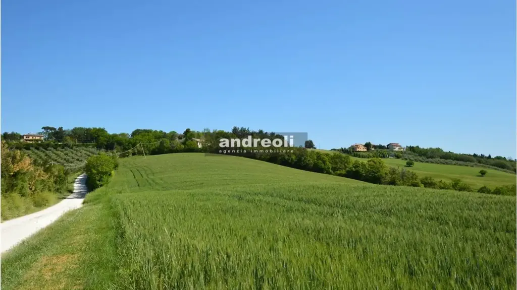 Garden - Rustic Property with Private Courtyard in Belvedere Ostrense
