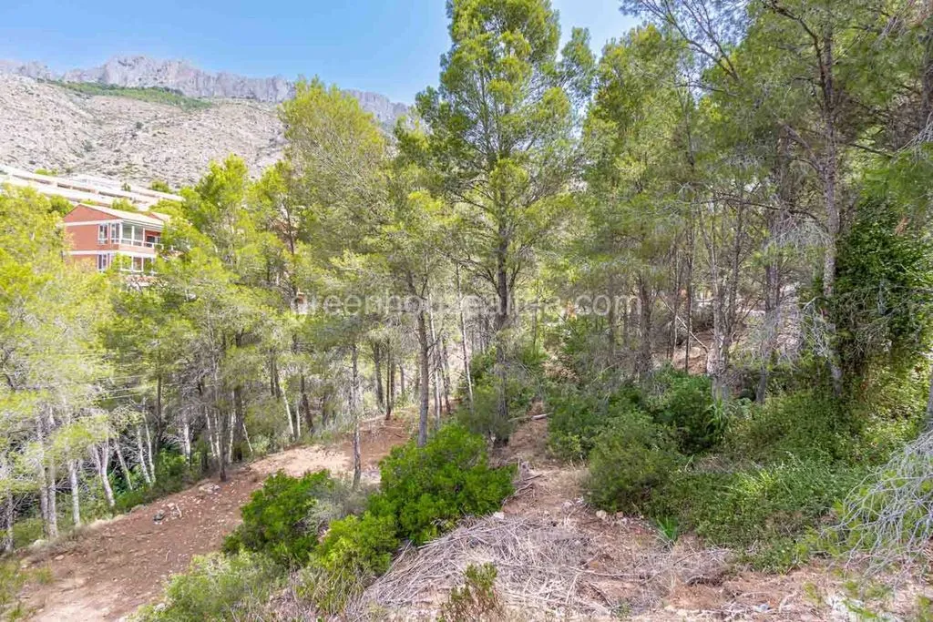 Luxury Villa with Pool in Sierra de Altea