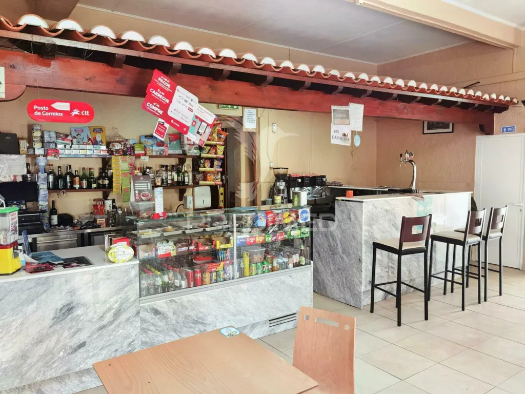 Toad - Restaurant with Terrace in Santarém
