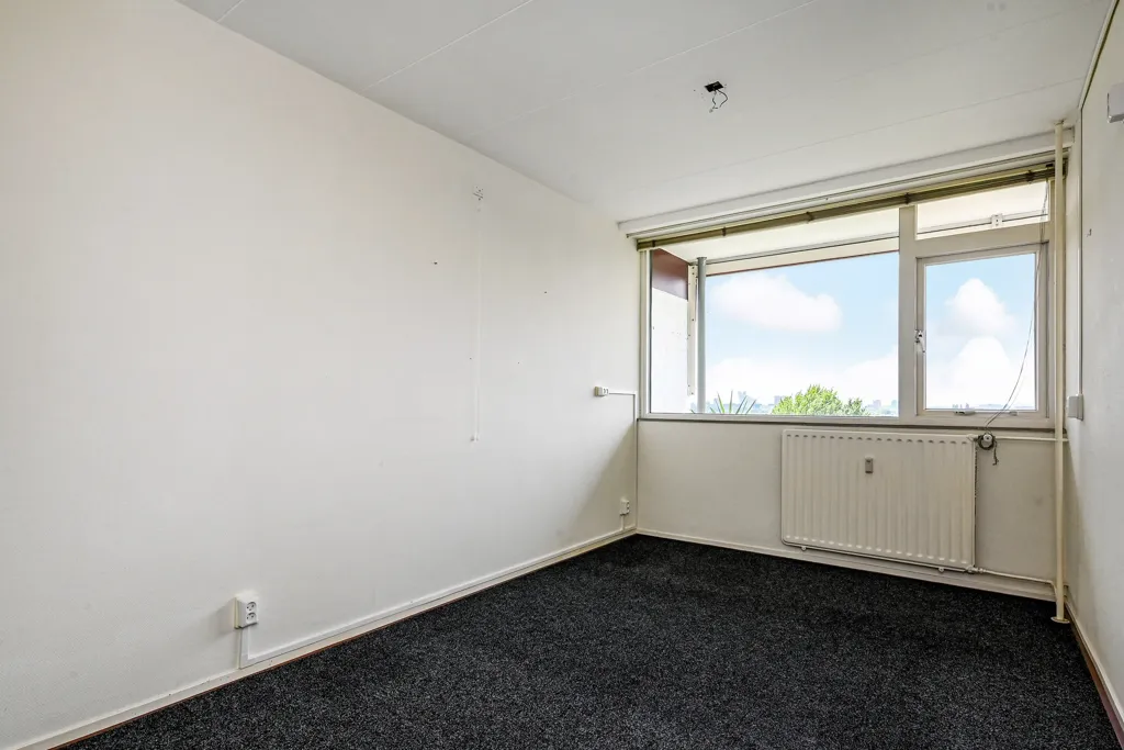 5-toaline korter asukohas Den Haag