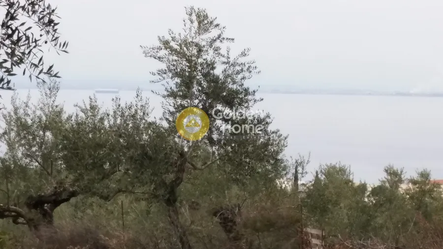 Aed - Plot with Sea View in Avia - Akrogiali