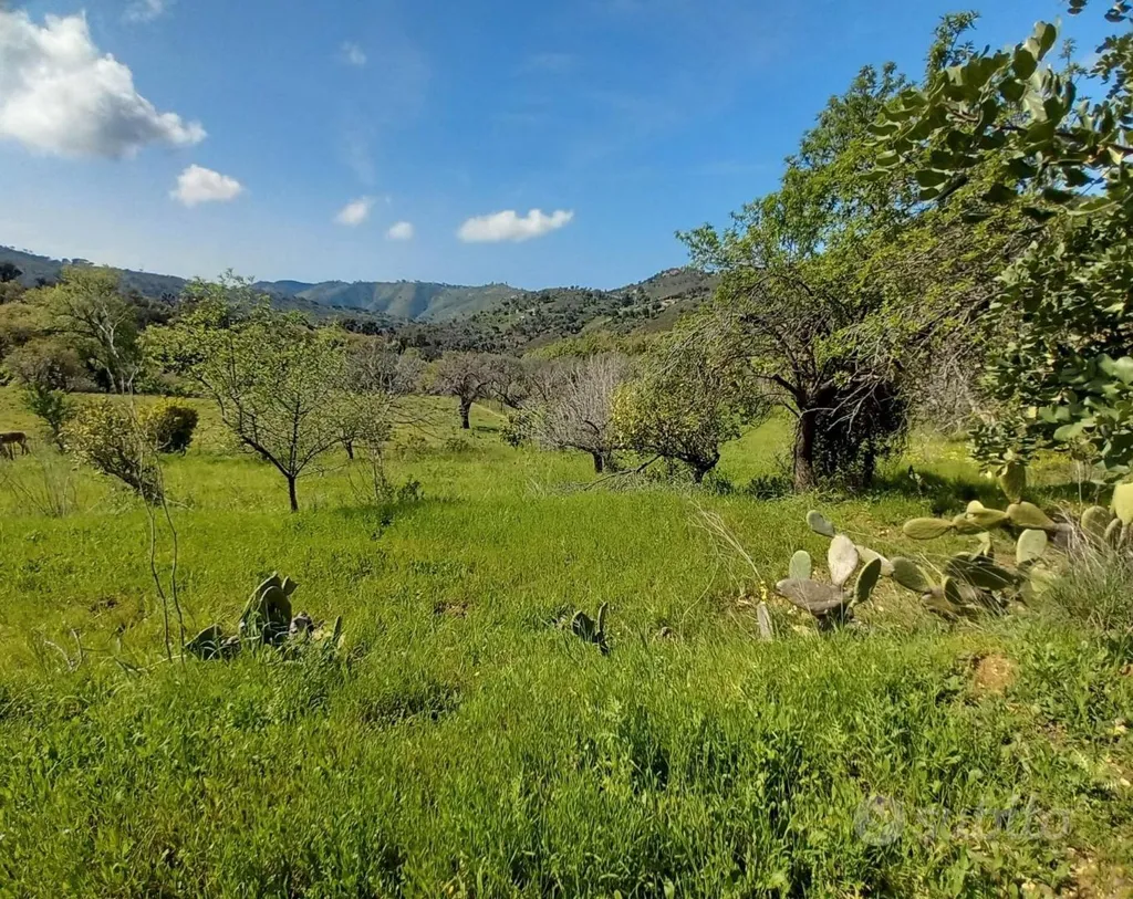 Jardin - Rustic Land with Buildings near Cefalù
