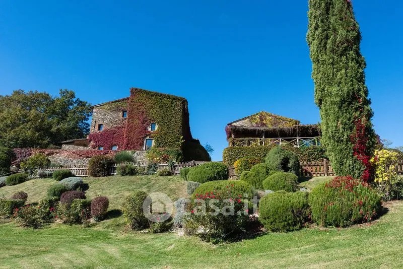 Jardin - Villa with Pools in Chiusdino, Tuscany