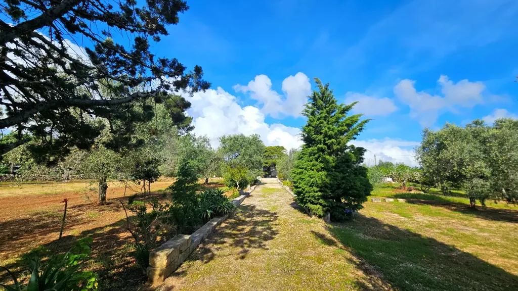 Jardin - Villa with Olive Grove near Carovigno