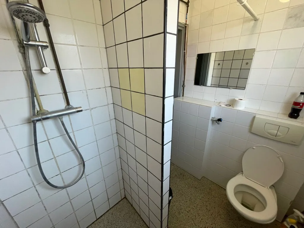 Salles de bain - Student Room with Shared Garden in Leeuwarden