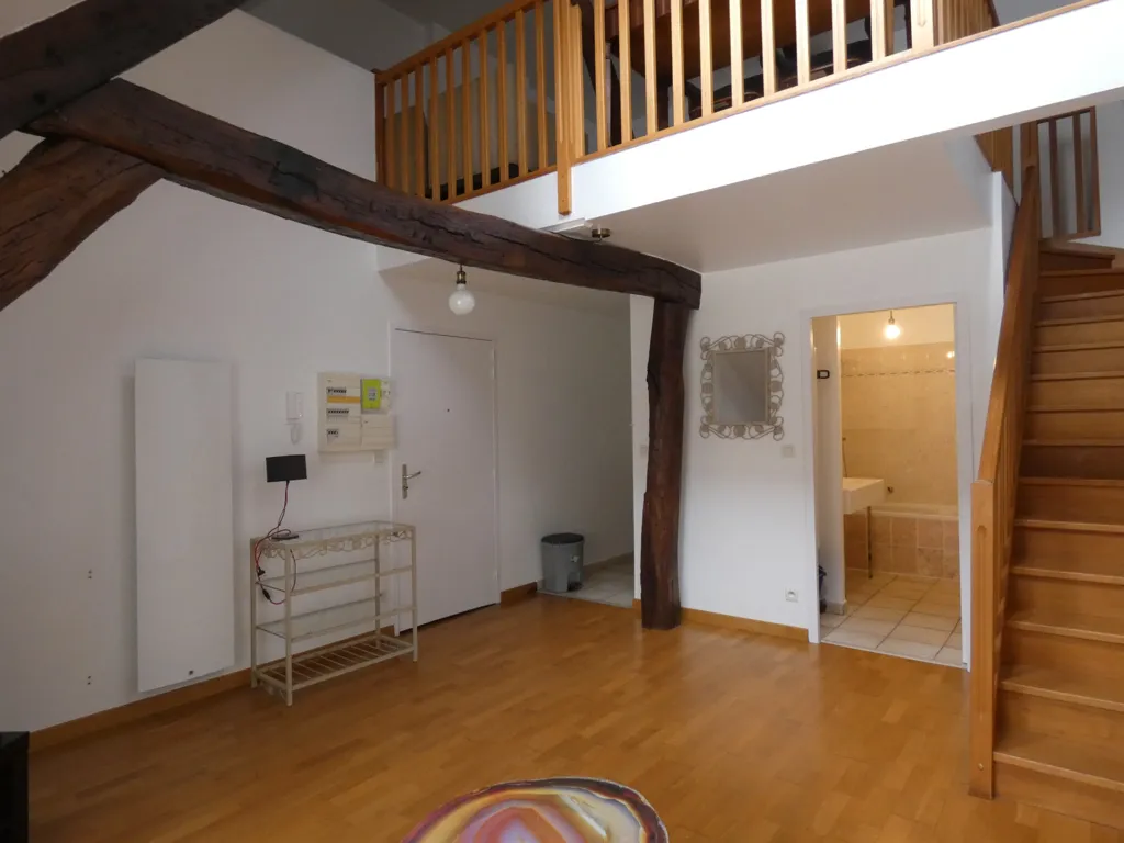 Stanze - Charming Mezzanine Flat in Beaune Centre