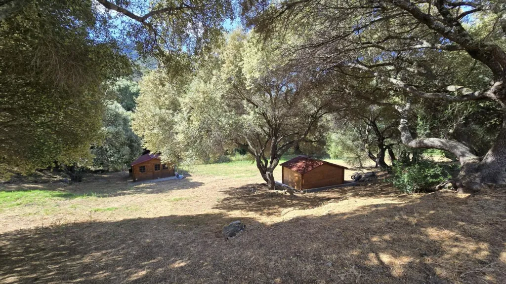 Aed - Two Villas with Sea View in Propriano