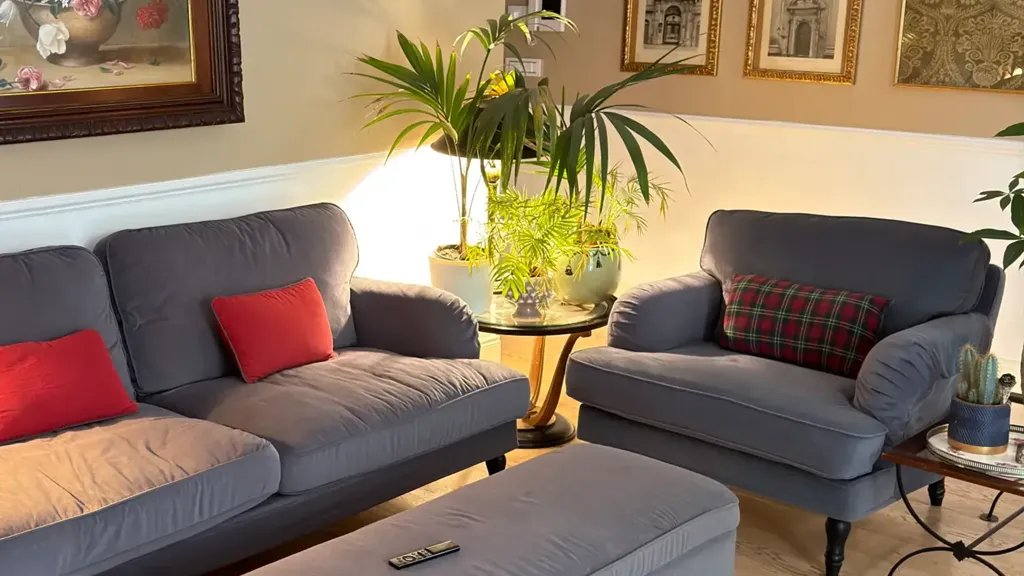 Séjour - Luxury Apartment with Terrace in Sarzana