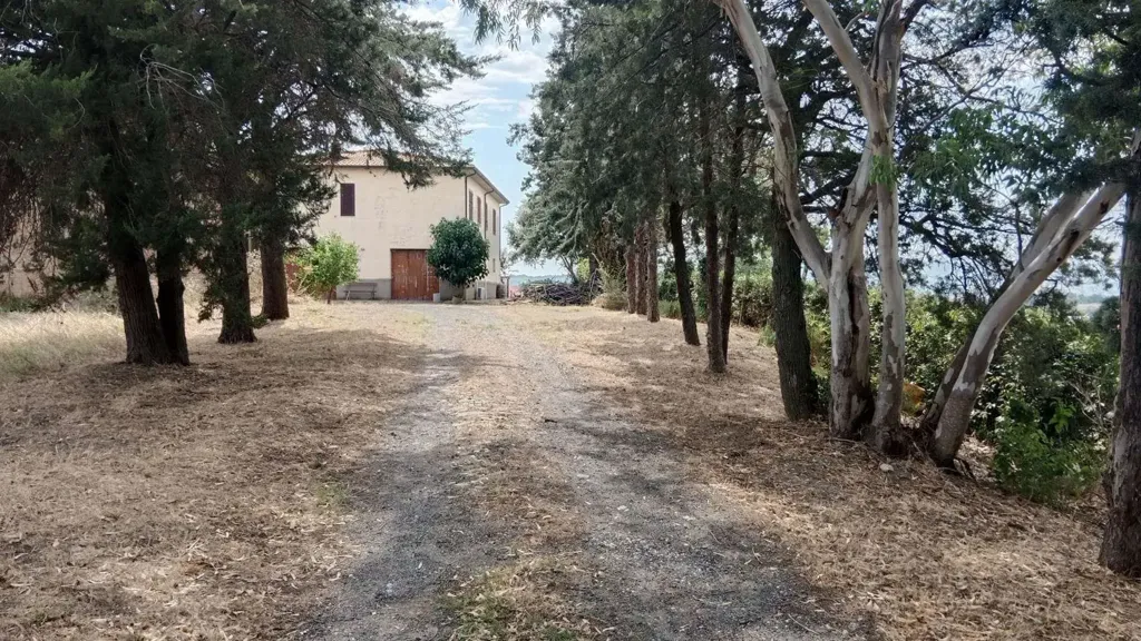 Extérieur - Rustic Farmhouse with Lake View in Santa Luce