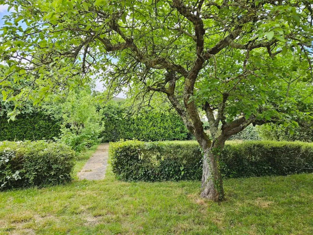 Jardin - Maison 1960 avec Terrain Clôturé au Passage
