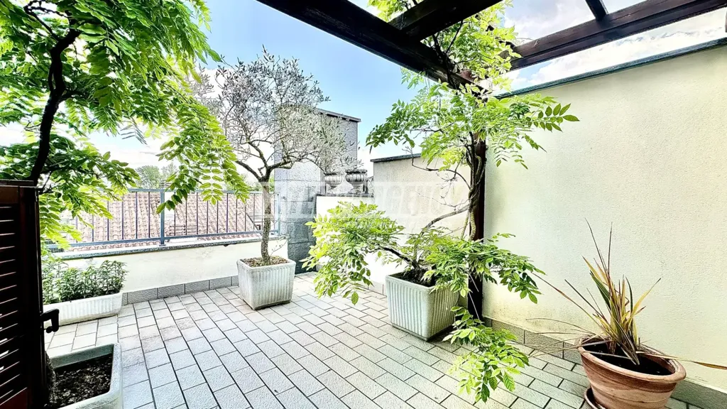 terrace_patio