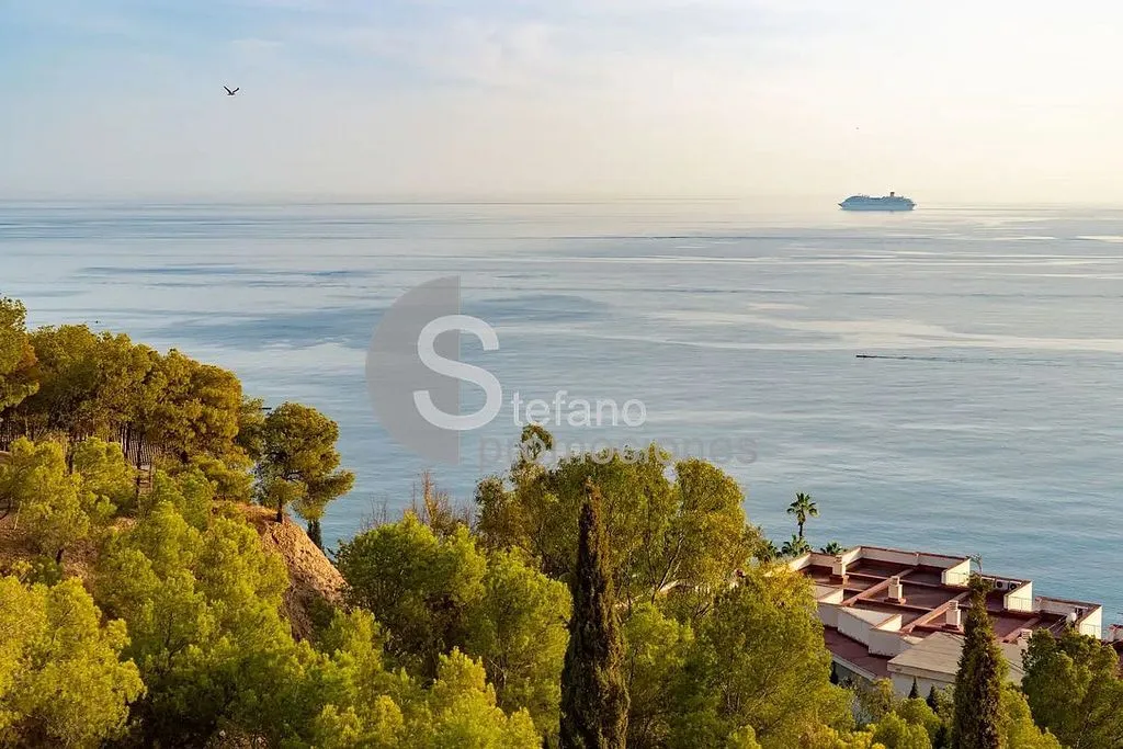 Garden - Chalet with Terrace in Pedregalejo, Málaga