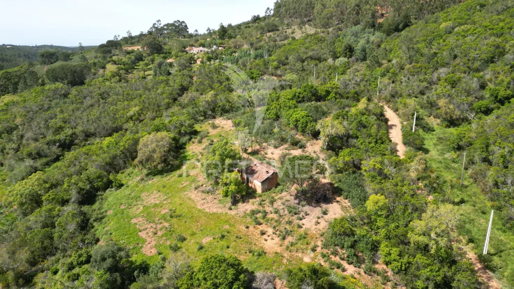 Õhuvaade - Rustic Quinta with Ruin in Alentejo