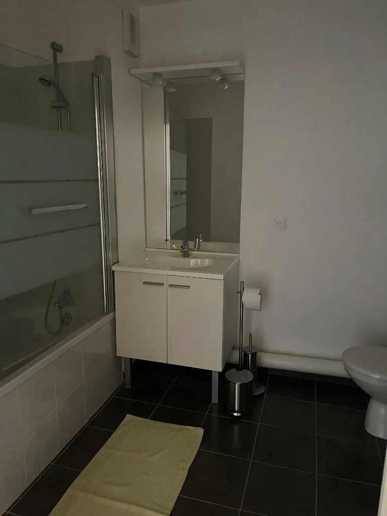 Salles de bain - Appartement Meublé avec Balcon à Reims