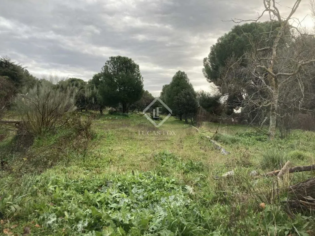 Jardin - Plot with Garden in Majadahonda