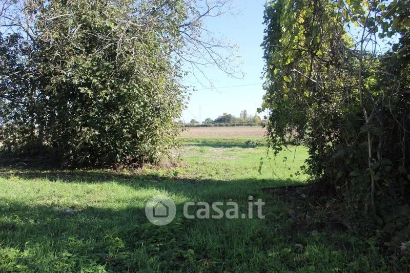 Giardino - Rustic Casale with Private Garden in Stienta
